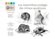 Les mamifères protégés des milieux aquatiques
