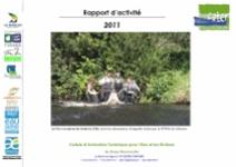 Rapport dʼactivité 2011